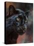 Black Panther 1-David Stribbling-Stretched Canvas