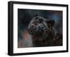 Black Panther 3-David Stribbling-Framed Art Print