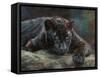 Black Panther 4-David Stribbling-Framed Stretched Canvas