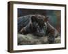 Black Panther 4-David Stribbling-Framed Art Print