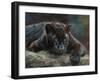 Black Panther 4-David Stribbling-Framed Art Print