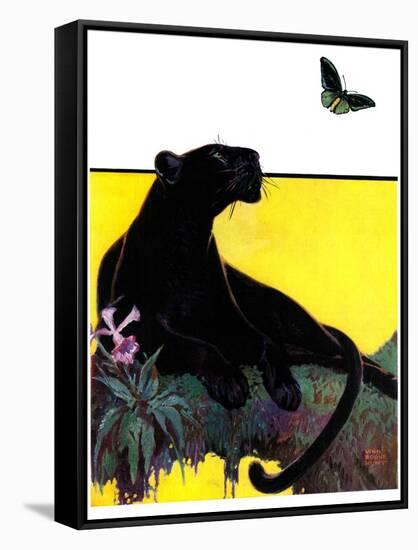"Black Panther,"August 13, 1932-Lynn Bogue Hunt-Framed Stretched Canvas