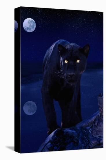 Black Panther in Moonlight-null-Stretched Canvas