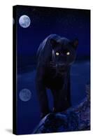 Black Panther in Moonlight-null-Stretched Canvas