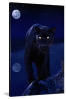 Black Panther in Moonlight-null-Stretched Canvas