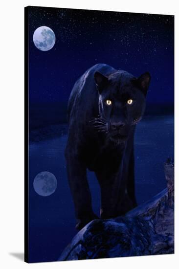 Black Panther in Moonlight-null-Stretched Canvas