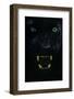 Black panther / melanistic Leopard (Panthera pardus) baring teeth, captive.-Edwin Giesbers-Framed Photographic Print