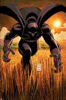 Black Panther No.1 Cover: Black Panther-John Romita Jr^-Lamina Framed Poster