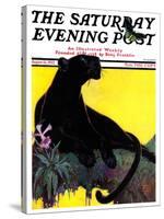 "Black Panther," Saturday Evening Post Cover, August 13, 1932-Lynn Bogue Hunt-Stretched Canvas