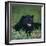 Black Panther Sitting in Grass-DLILLC-Framed Premium Photographic Print