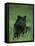 Black Panther Sitting in Grass-DLILLC-Framed Stretched Canvas