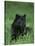 Black Panther Sitting in Grass-DLILLC-Stretched Canvas