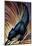 Black Panther-Frank Mcintosh-Mounted Art Print