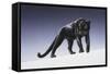 Black Panther-Harro Maass-Framed Stretched Canvas