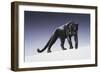 Black Panther-Harro Maass-Framed Giclee Print