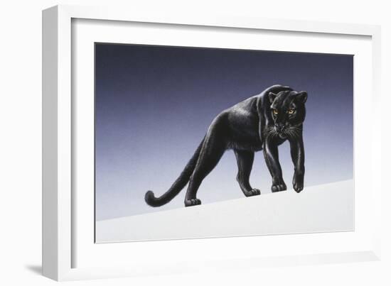 Black Panther-Harro Maass-Framed Giclee Print