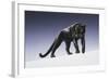 Black Panther-Harro Maass-Framed Giclee Print