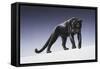 Black Panther-Harro Maass-Framed Stretched Canvas
