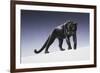 Black Panther-Harro Maass-Framed Giclee Print