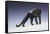 Black Panther-Harro Maass-Framed Stretched Canvas