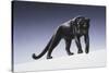 Black Panther-Harro Maass-Stretched Canvas