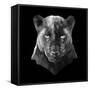 Black Panther-Lisa Kroll-Framed Stretched Canvas