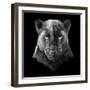 Black Panther-Lisa Kroll-Framed Art Print