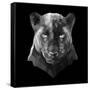 Black Panther-Lisa Kroll-Framed Stretched Canvas