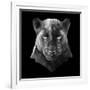 Black Panther-Lisa Kroll-Framed Art Print