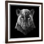 Black Panther-Lisa Kroll-Framed Art Print