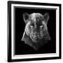 Black Panther-Lisa Kroll-Framed Art Print