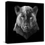 Black Panther-Lisa Kroll-Stretched Canvas