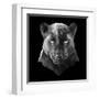 Black Panther-Lisa Kroll-Framed Art Print