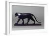 Black Panther-Francois Pompon-Framed Giclee Print