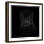 Black Panther-Mathilde Guillemot-Framed Giclee Print