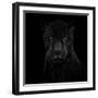 Black Panther-Mathilde Guillemot-Framed Giclee Print