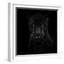 Black Panther-Mathilde Guillemot-Framed Giclee Print