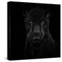 Black Panther-Mathilde Guillemot-Stretched Canvas