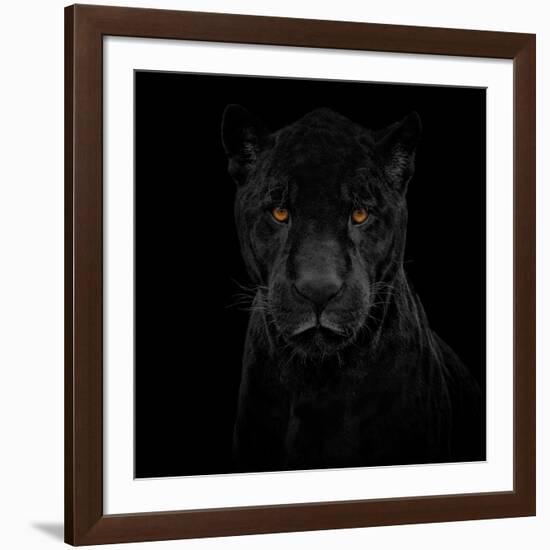 Black Panther-Mathilde Guillemot-Framed Giclee Print