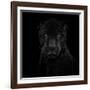 Black Panther-Mathilde Guillemot-Framed Giclee Print