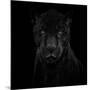 Black Panther-Mathilde Guillemot-Mounted Giclee Print