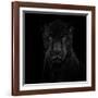 Black Panther-Mathilde Guillemot-Framed Giclee Print