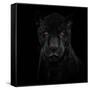 Black Panther-Mathilde Guillemot-Framed Stretched Canvas