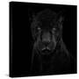 Black Panther-Mathilde Guillemot-Stretched Canvas