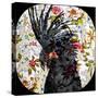 Black Parrot-Linda Arthurs-Stretched Canvas
