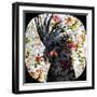 Black Parrot-Linda Arthurs-Framed Giclee Print