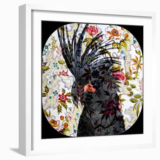 Black Parrot-Linda Arthurs-Framed Giclee Print