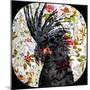 Black Parrot-Linda Arthurs-Mounted Giclee Print