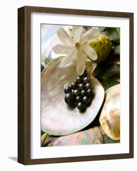 Black Pearl Farming at Hinano Pearl Farm, Fakarava, Tuamotus, French Polynesia-Michele Westmorland-Framed Photographic Print