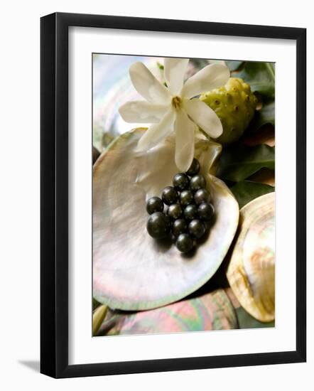 Black Pearl Farming at Hinano Pearl Farm, Fakarava, Tuamotus, French Polynesia-Michele Westmorland-Framed Photographic Print